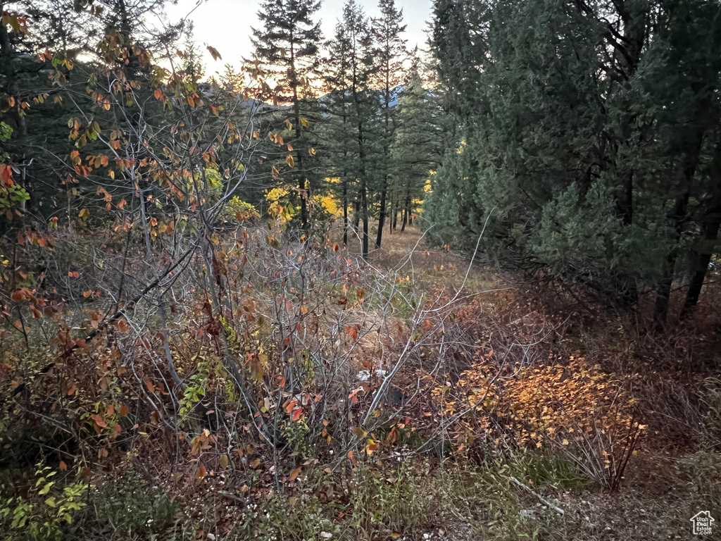 Photo 18 for MLS #2117100 at 8966 E Flying Hawk