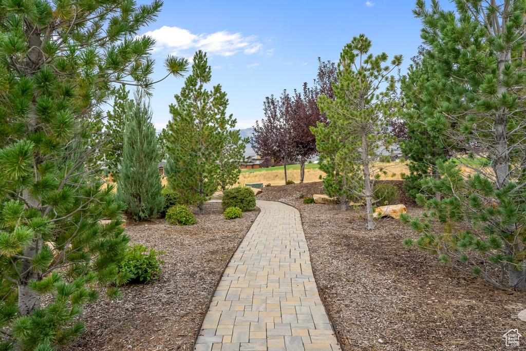 Photo 61 for MLS #2117148 at 676 N Chimney Rock Rd
