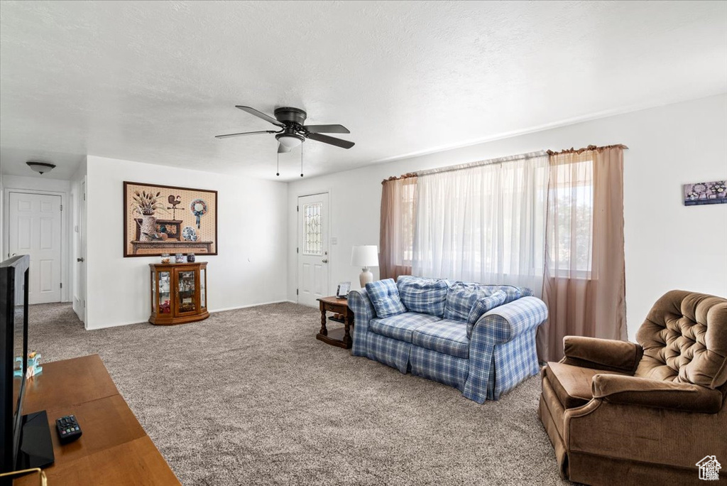 Photo 5 for MLS #2117165 at 4125 N Palmer Rd