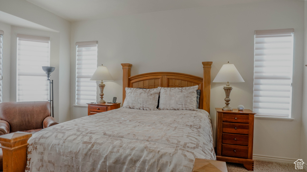 Photo 24 for MLS #2117188 at 11491 S Harvest Crest Way