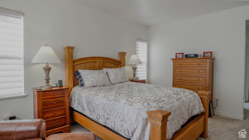 Photo 25 for MLS #2117188 at 11491 S Harvest Crest Way