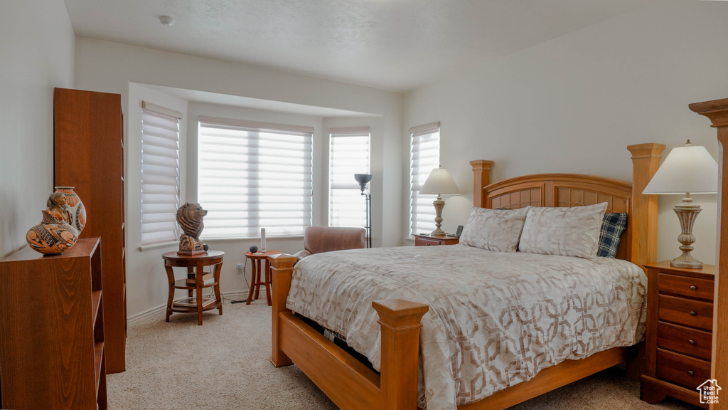 Photo 23 for MLS #2117188 at 11491 S Harvest Crest Way