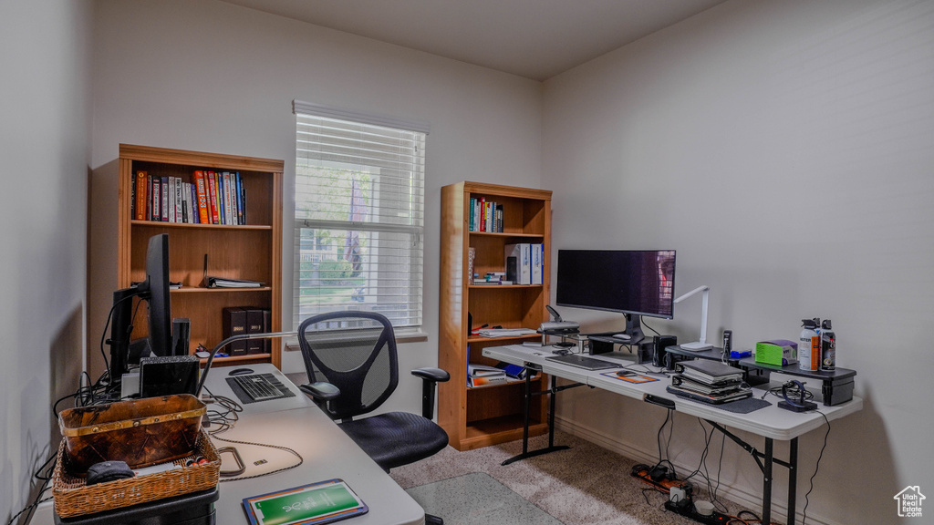Photo 20 for MLS #2117188 at 11491 S Harvest Crest Way