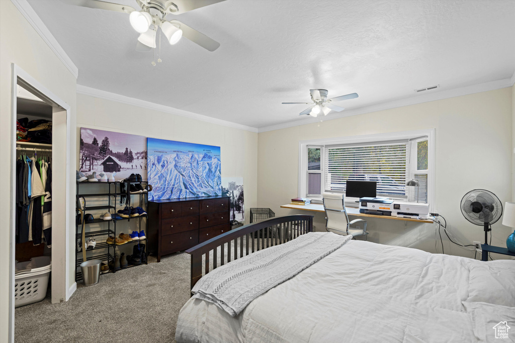 Photo 19 for MLS #2117287 at 342 Ogden Cyn