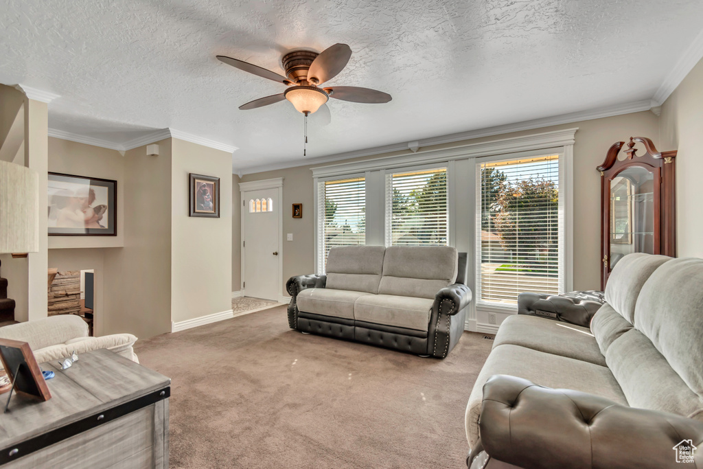 Photo 10 for MLS #2117304 at 505 S Melanie Ln