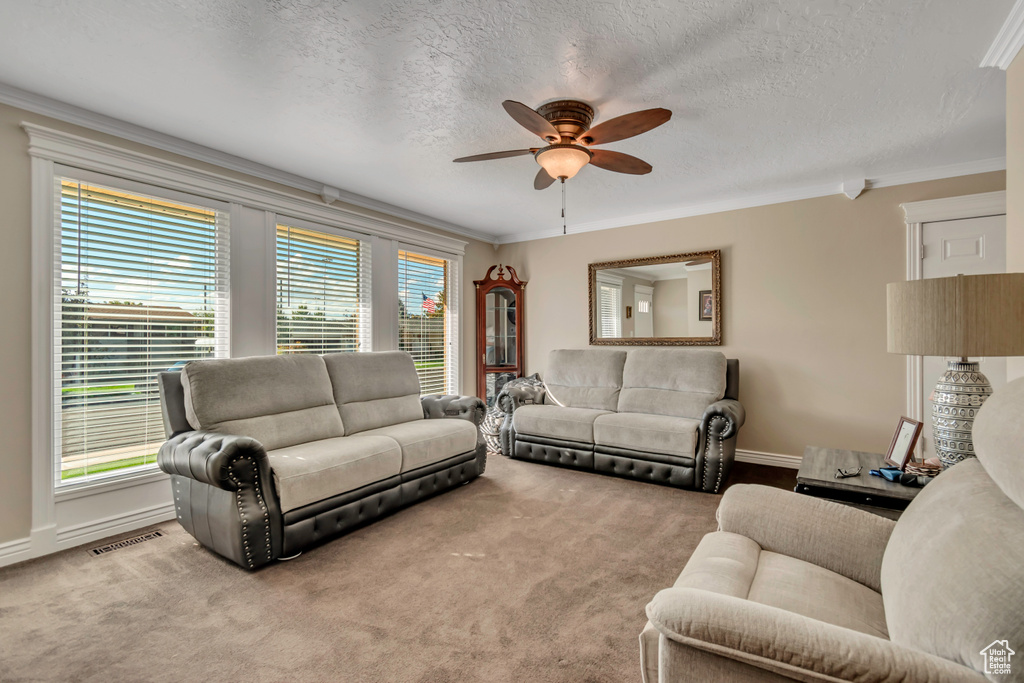 Photo 12 for MLS #2117304 at 505 S Melanie Ln