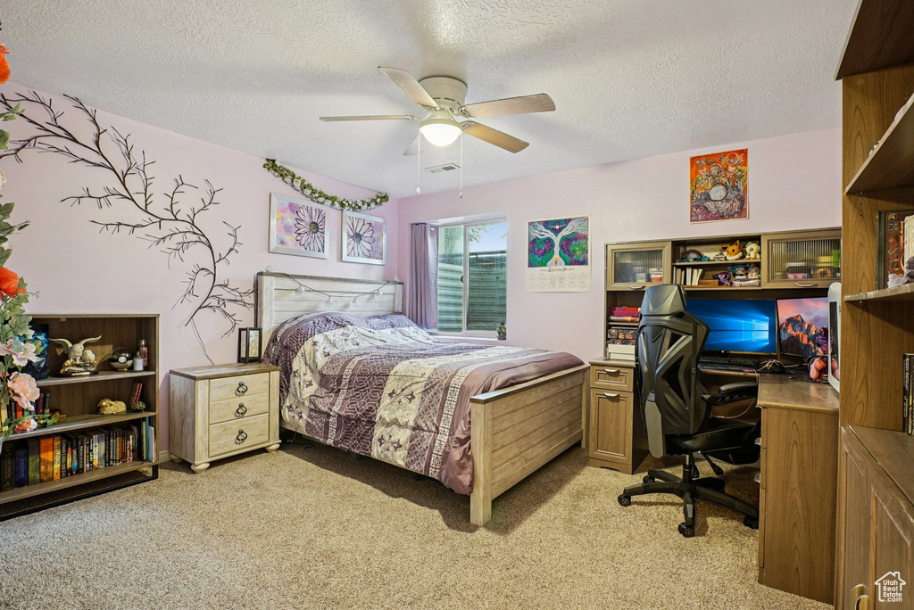 Photo 15 for MLS #2117338 at 2218 W Mackay Ln