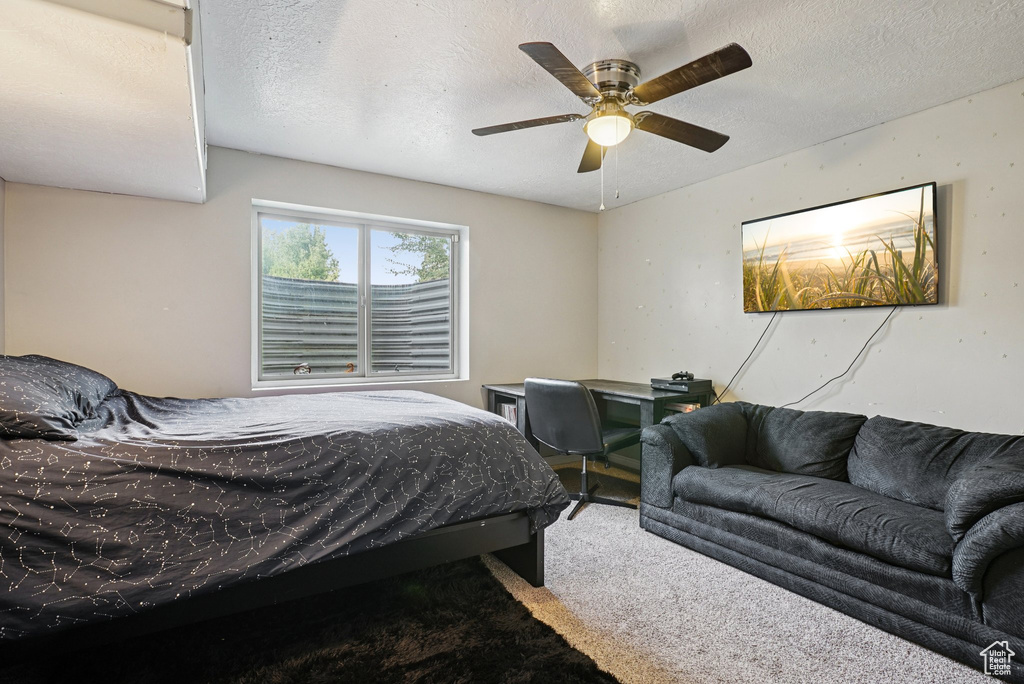 Photo 17 for MLS #2117338 at 2218 W Mackay Ln