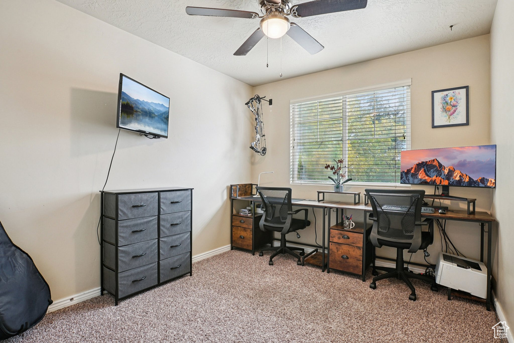 Photo 25 for MLS #2117338 at 2218 W Mackay Ln