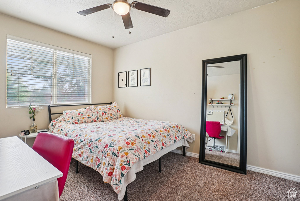 Photo 27 for MLS #2117338 at 2218 W Mackay Ln