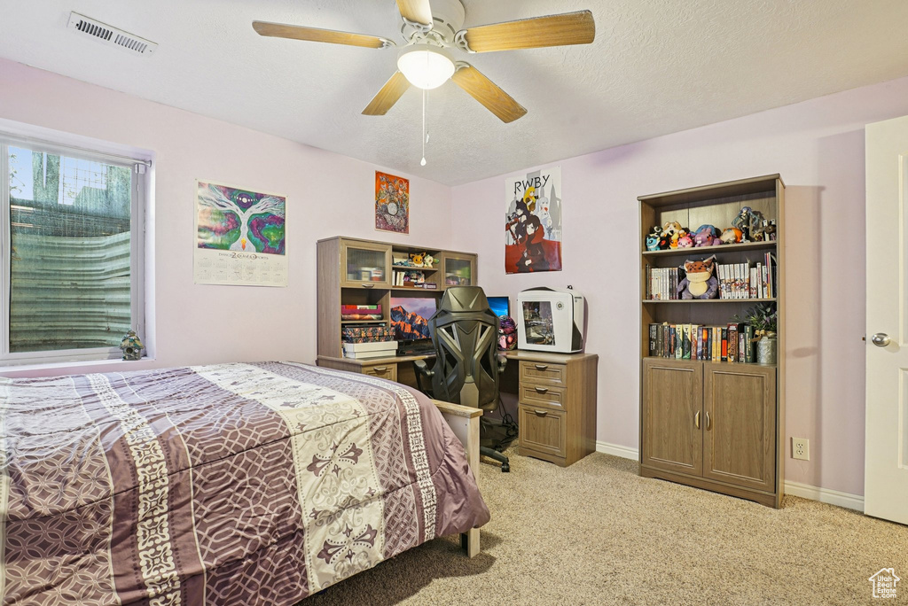 Photo 16 for MLS #2117338 at 2218 W Mackay Ln