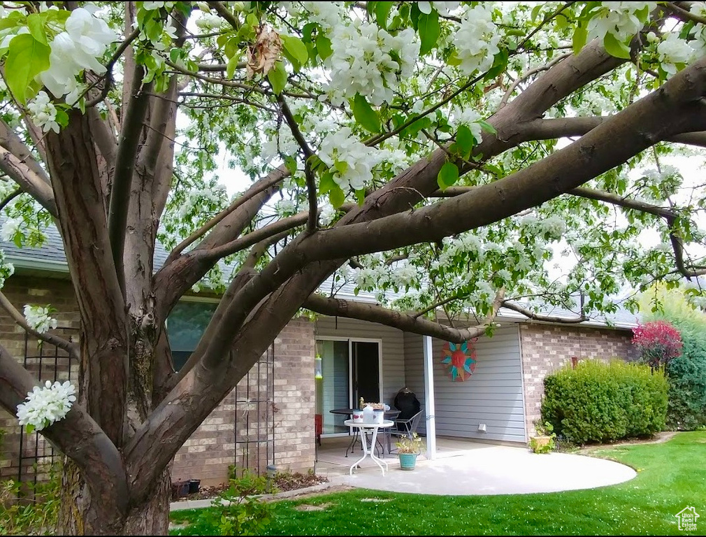 Photo 24 for MLS #2117340 at 964 E 5650 South