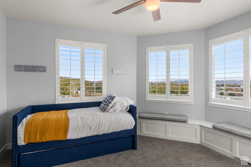 Photo 25 for MLS #2117358 at 732 S Spruce Dr