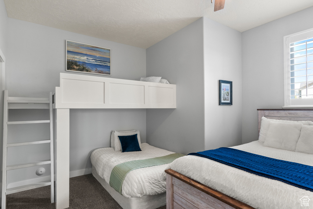 Photo 28 for MLS #2117358 at 732 S Spruce Dr