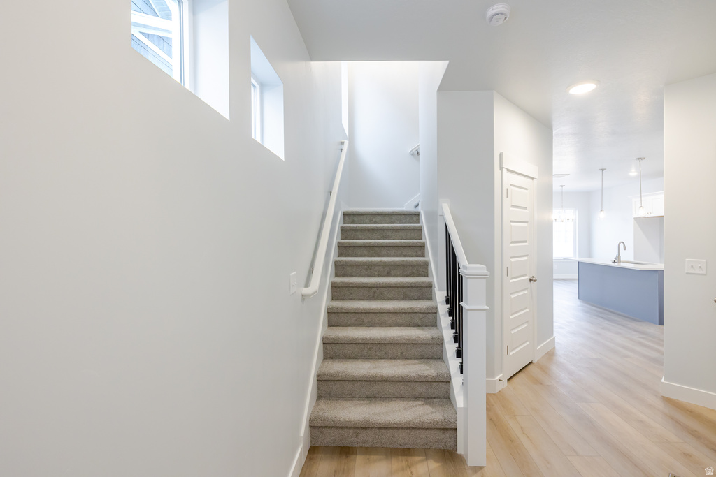 1568 W BANNER DR #801 Saratoga Springs, UT 84045