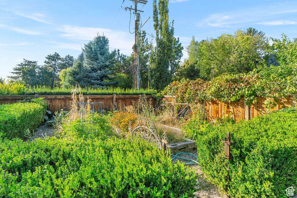 Photo 10 for MLS #2117437 at 2415 E Karren St