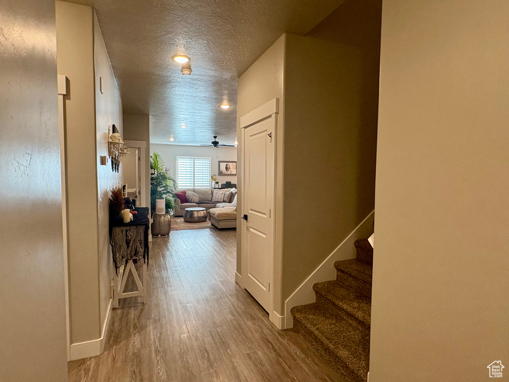 3528 N WILLY WAY Eagle Mountain, UT 84005