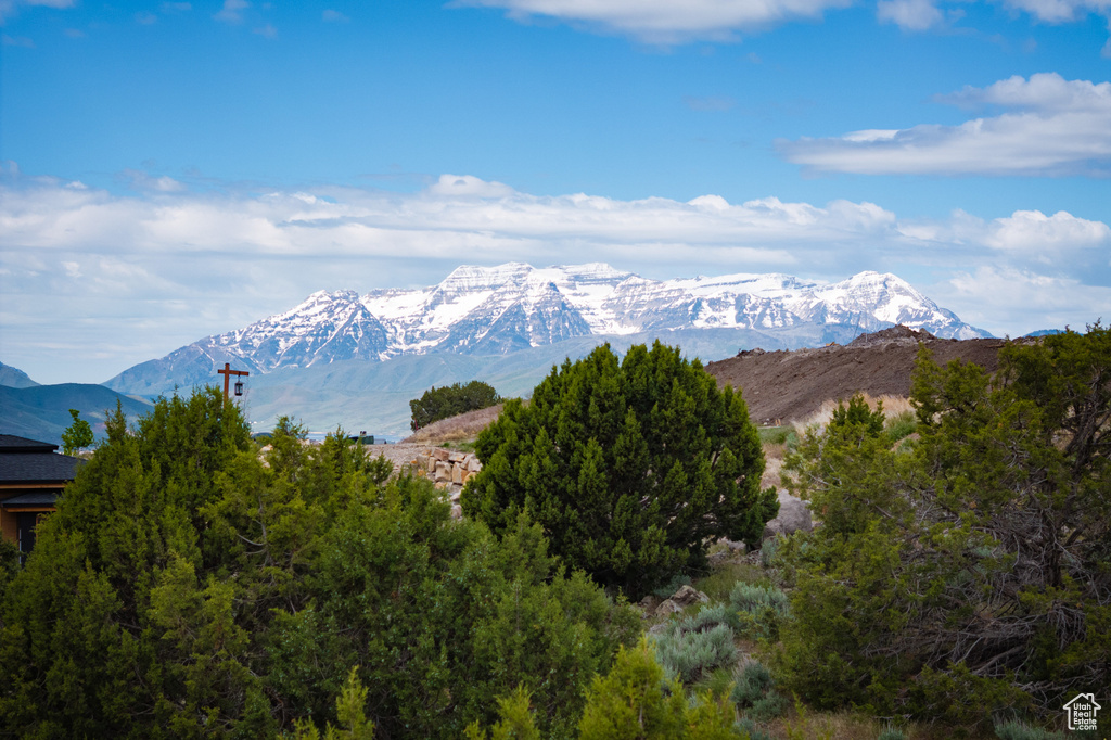 2762 E Boulder Top Loop