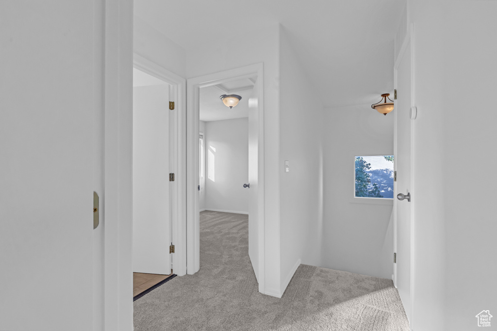 Photo 9 for MLS #2117474 at 11880 S Landou Dr