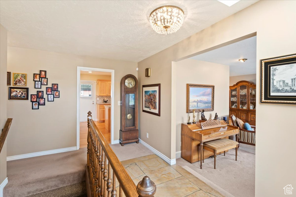 Photo 29 for MLS #2117481 at 8331 S Coolidge St