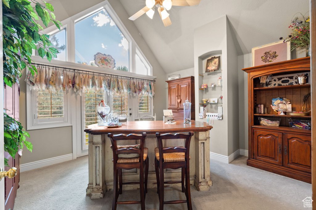 Photo 66 for MLS #2117501 at 2238 E Cottonwood Cove Ln