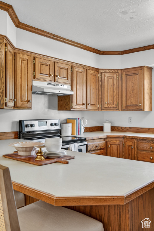 Photo 12 for MLS #2117503 at 5517 S White Springs Dr