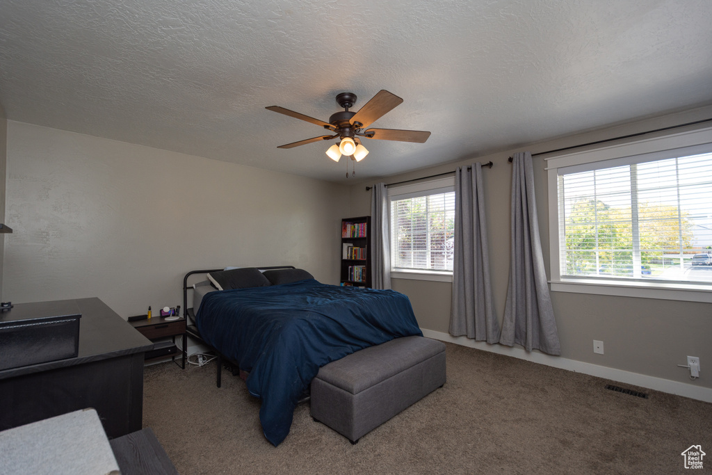 Photo 10 for MLS #2117517 at 6839 S Cyclamen Dr