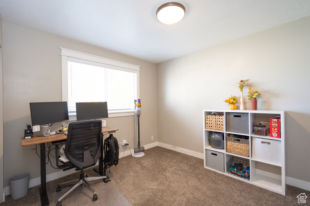 Photo 16 for MLS #2117517 at 6839 S Cyclamen Dr