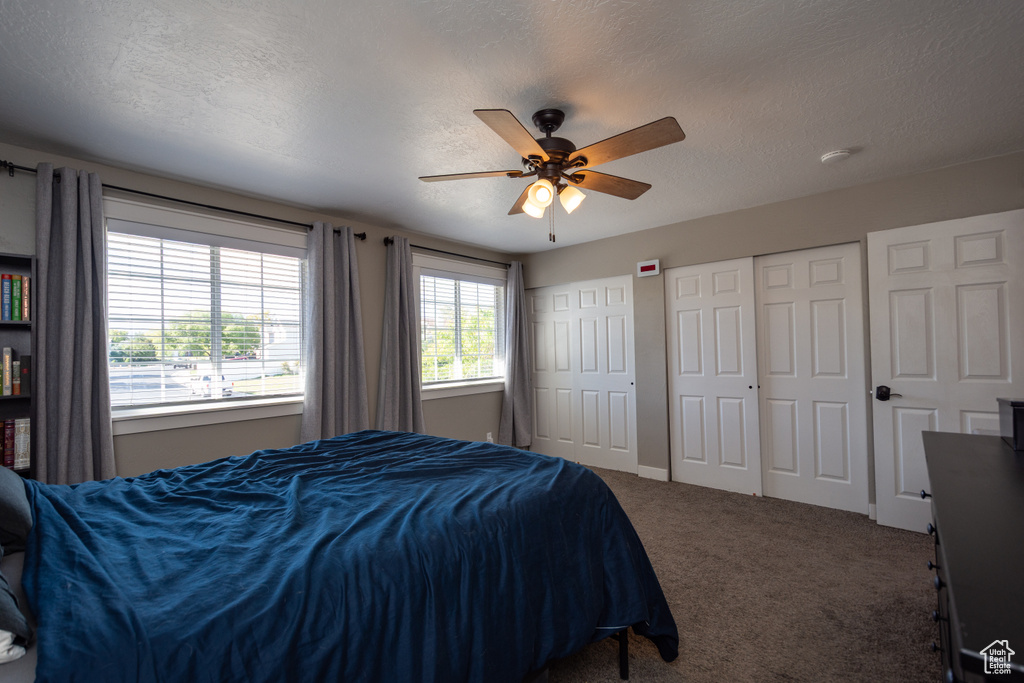 Photo 12 for MLS #2117517 at 6839 S Cyclamen Dr
