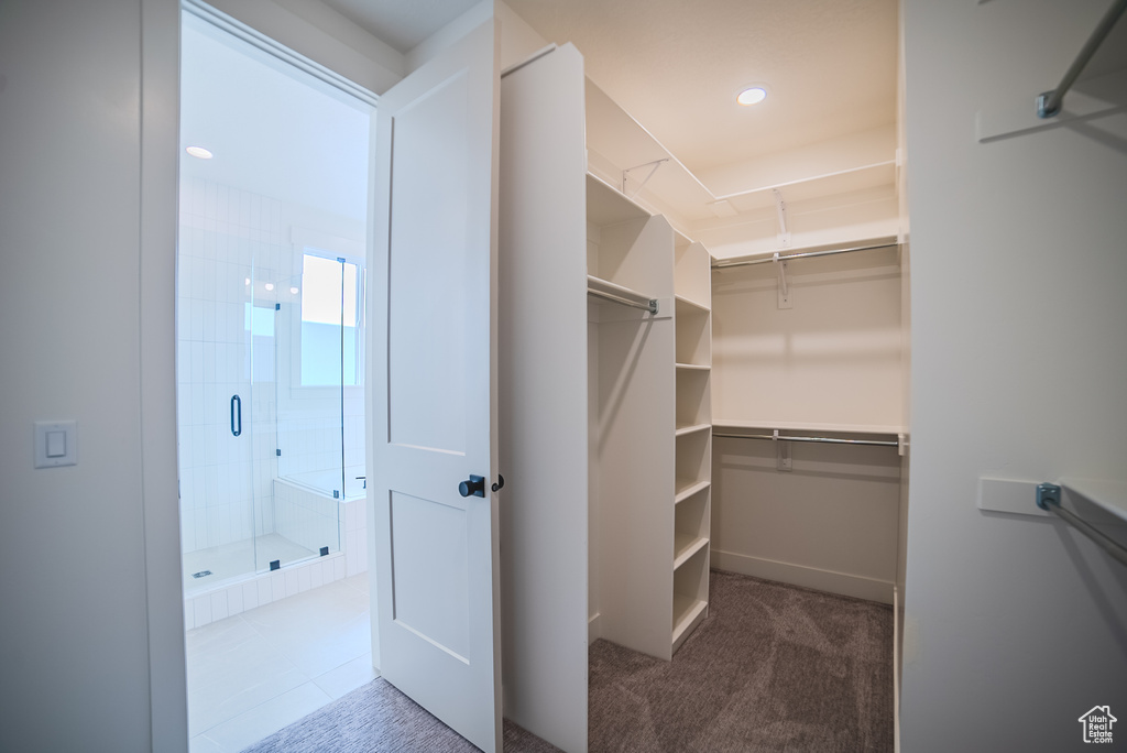 Photo 17 for MLS #2117520 at 10941 S Little Sahara Dr