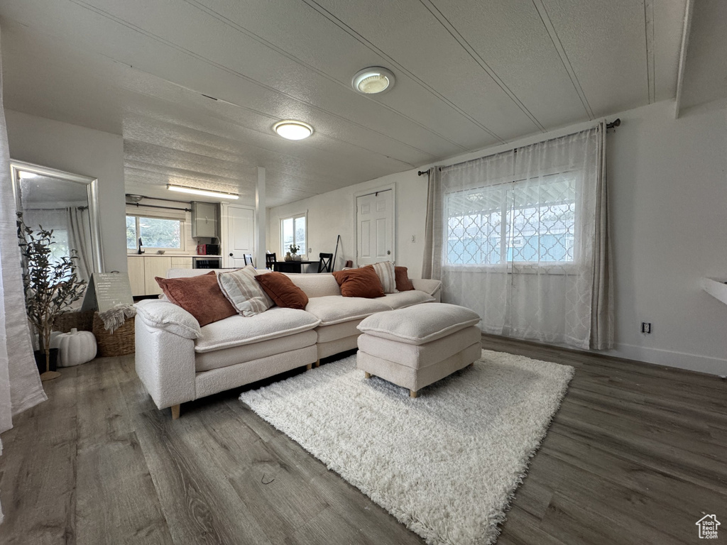 Living room featuring plenty of natural light, dark wood-style floors, and a textured ceiling