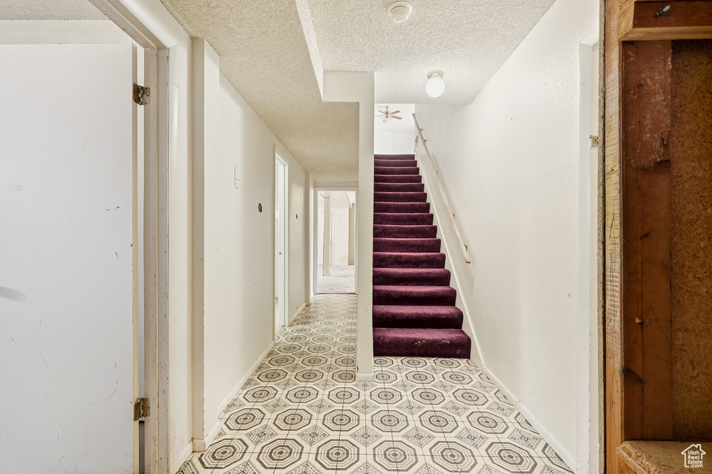 Photo 26 for MLS #2117544 at 995 S Cedar Knolls