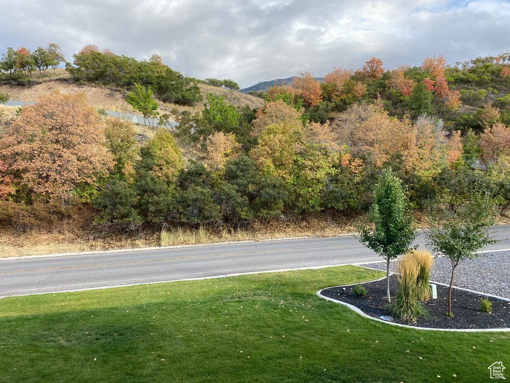 319 N LOAFER CANYON RD Elk Ridge, UT 84651