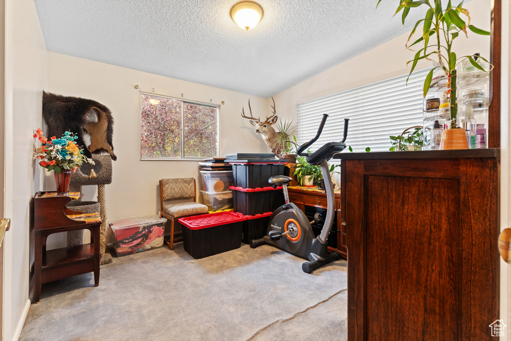 Photo 18 for MLS #2117581 at 4478 W Fassio Cir