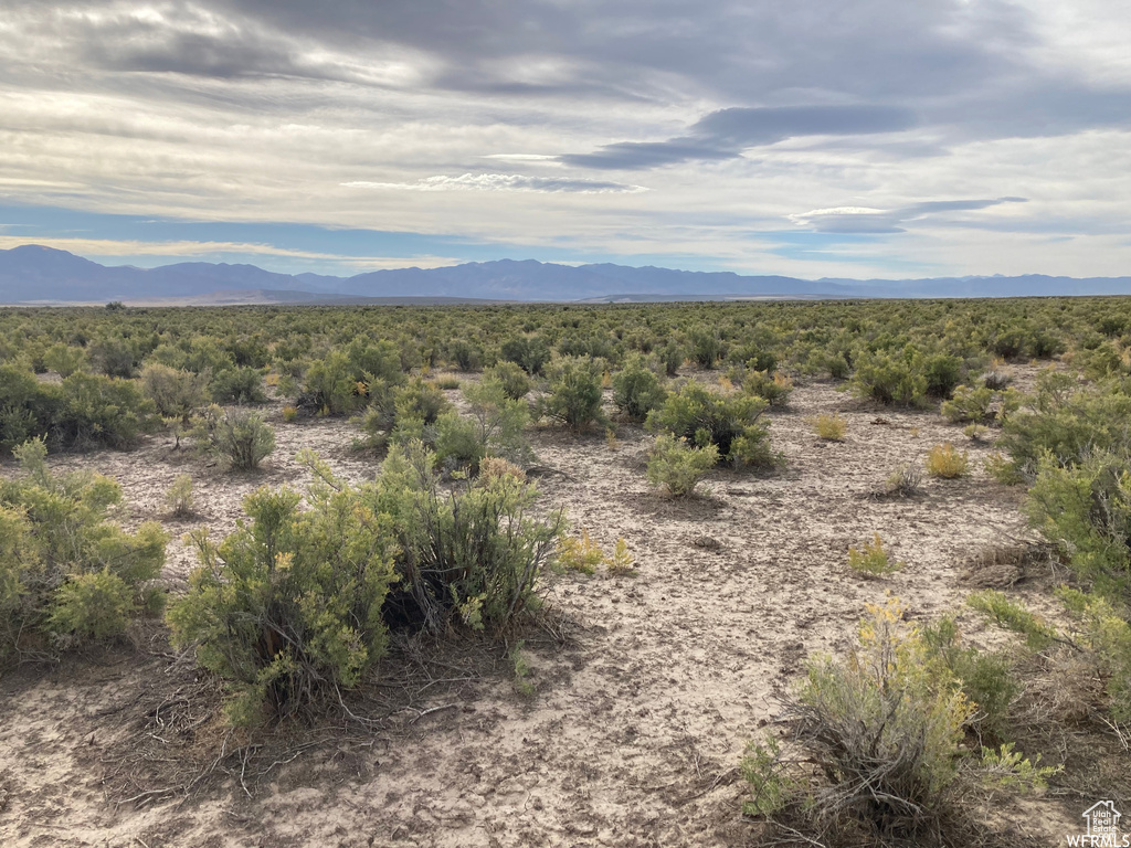 4250 W 8550 N Fillmore, UT 84631