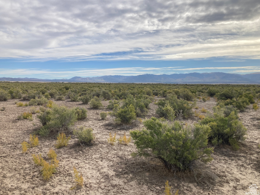 4250 W 8550 N Fillmore, UT 84631