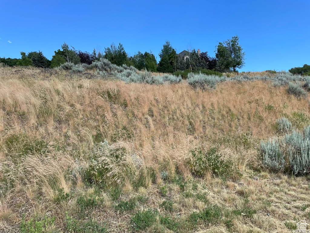 1596 S STONE RDG Bountiful, UT 84010