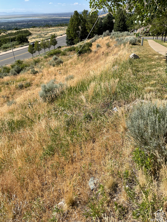 1596 S STONE RDG Bountiful, UT 84010