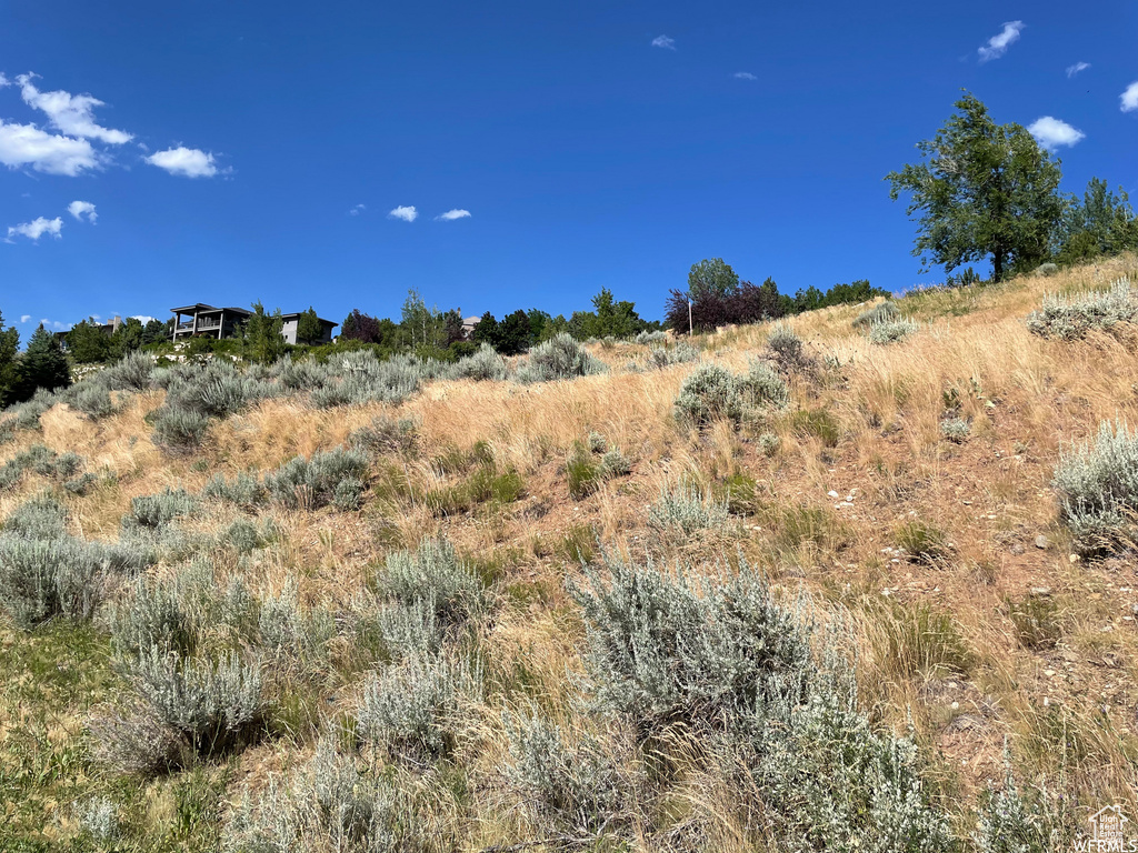 1596 S STONE RDG Bountiful, UT 84010