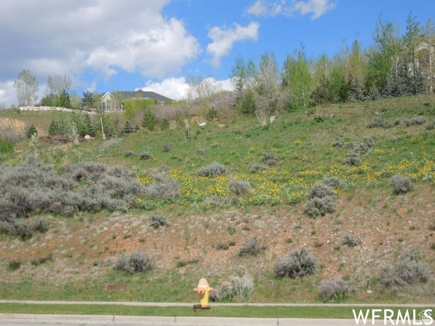 1596 S STONE RDG Bountiful, UT 84010