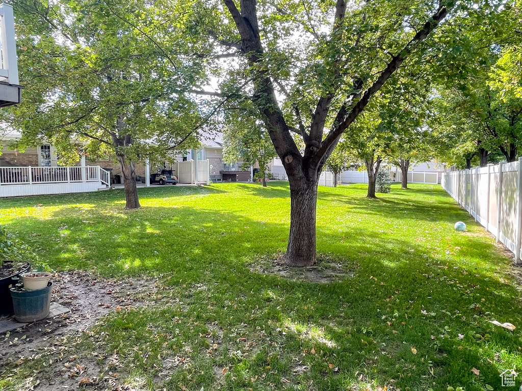 864 S 700 E Pleasant Grove, UT 84062