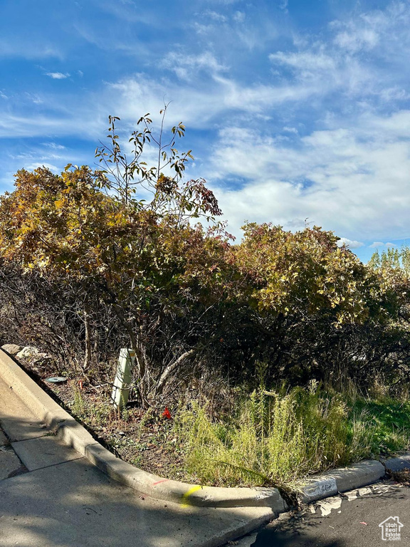 3716 S OAKRIDGE CT Bountiful, UT 84010