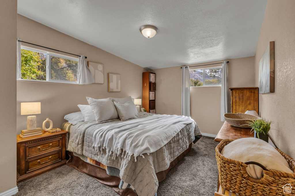 Photo 11 for MLS #2117728 at 621 E 925 North