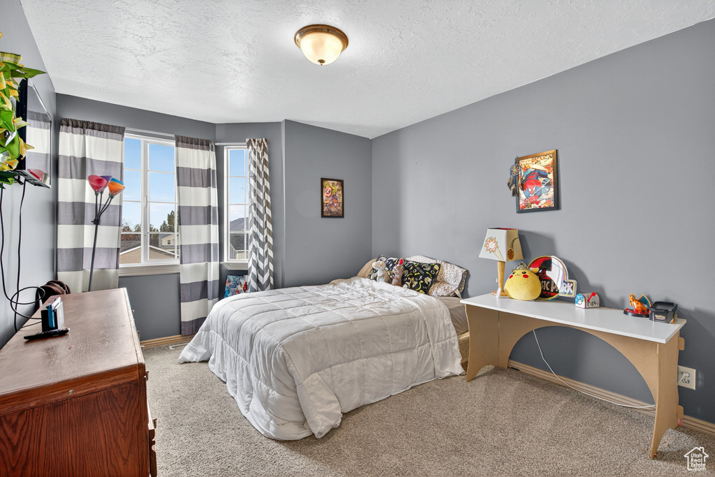 Photo 25 for MLS #2117754 at 336 E 700 North