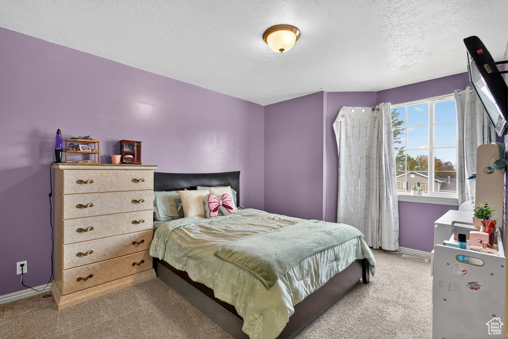 Photo 28 for MLS #2117754 at 336 E 700 North