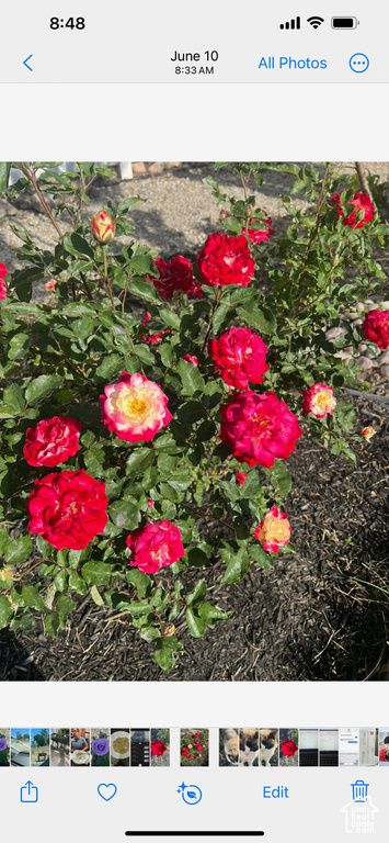 6319 W 13400 S Herriman, UT 84096