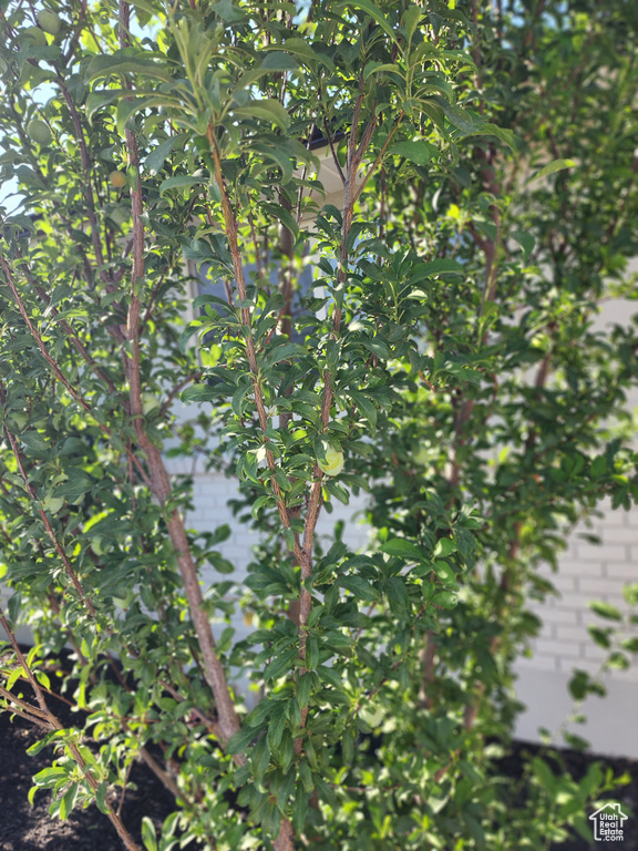 6319 W 13400 S Herriman, UT 84096