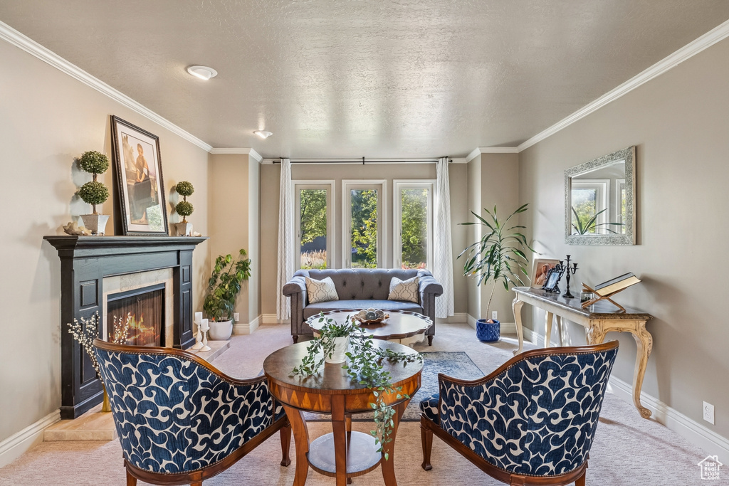 Photo 22 for MLS #2117771 at 2509 E Cobblestone Way