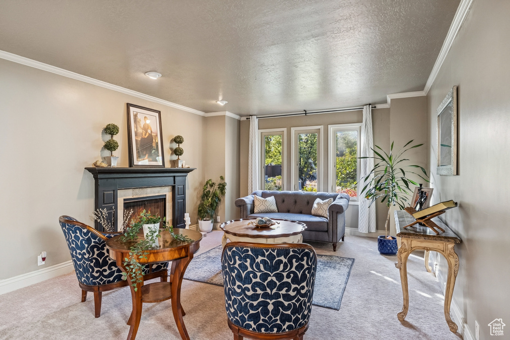 Photo 20 for MLS #2117771 at 2509 E Cobblestone Way