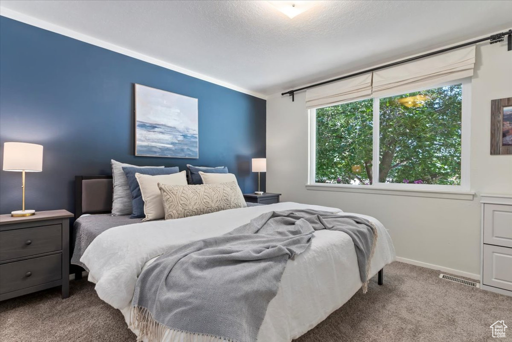 Photo 12 for MLS #2117788 at 13040 S 1300 East